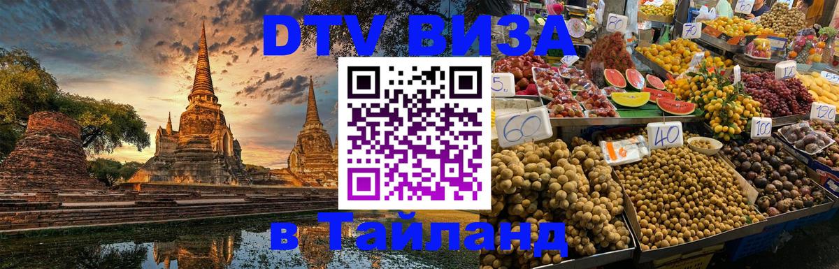 Оформление DTV визы под ключ: стоимость и тарифы, только загранпаспорт - 
